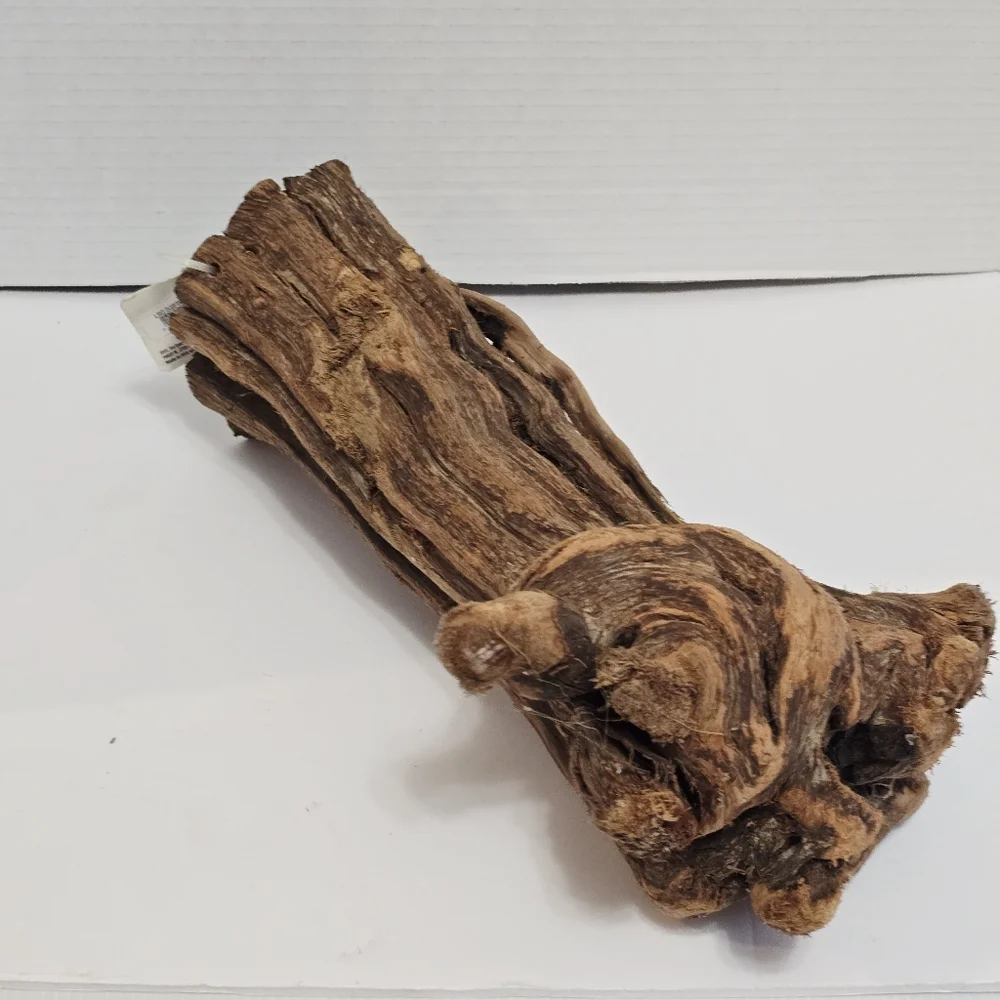 All Living Things Reptile Driftwood